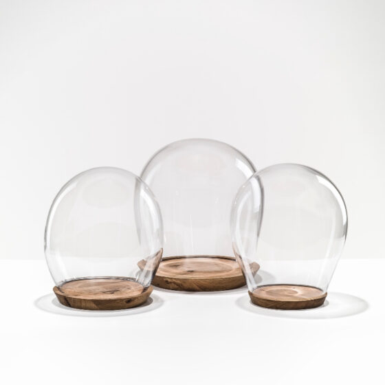 bomma_objects_tim_dome_5