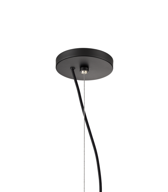 tim_phenomena_disc_black__