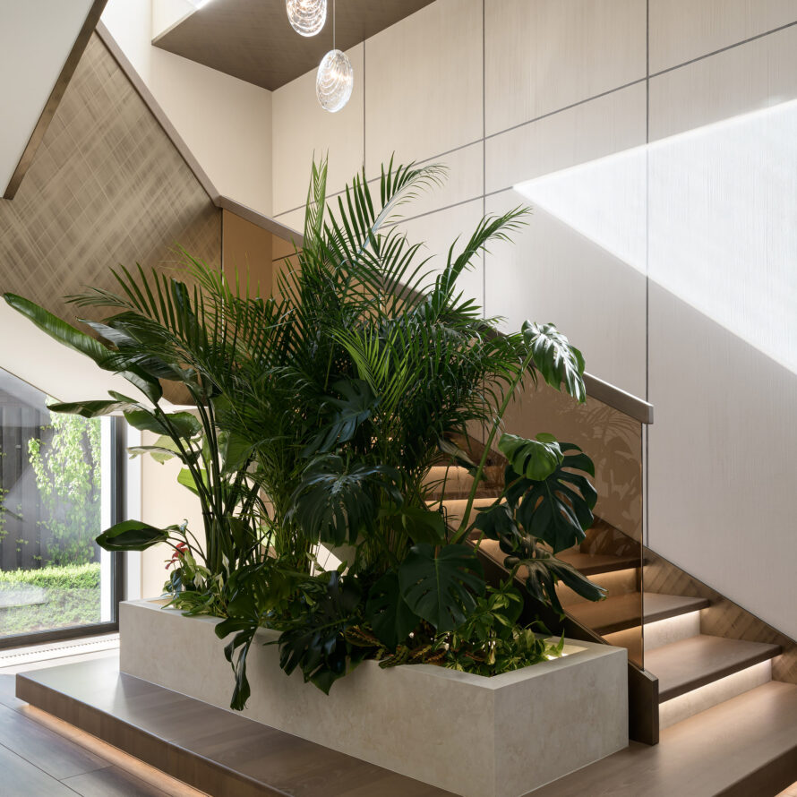 Mussels_Roomy_studio2