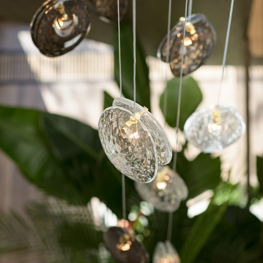 Mussels_Roomy_studio6