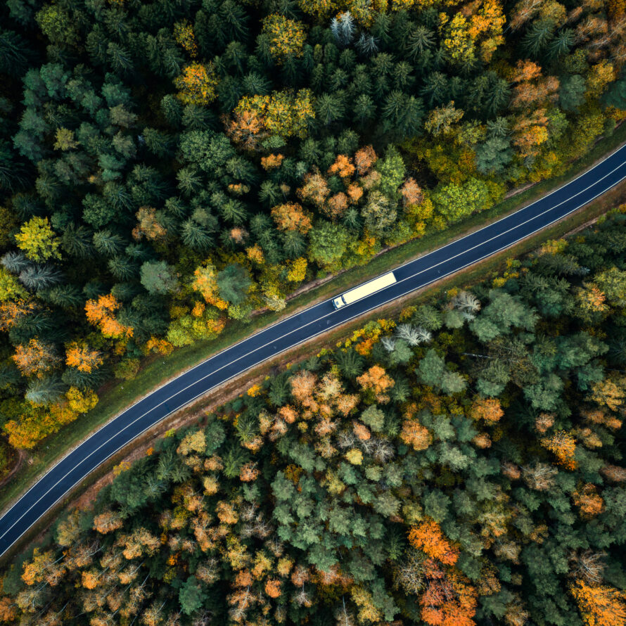 road-in-wood